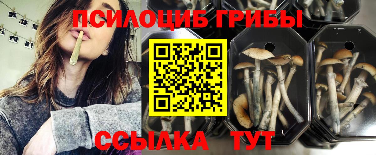 Псилоцибиновые грибы мухоморы  Вход с VPN  Южноуральск  Галлюциногенные грибы MAGIC MUSHROOMS 